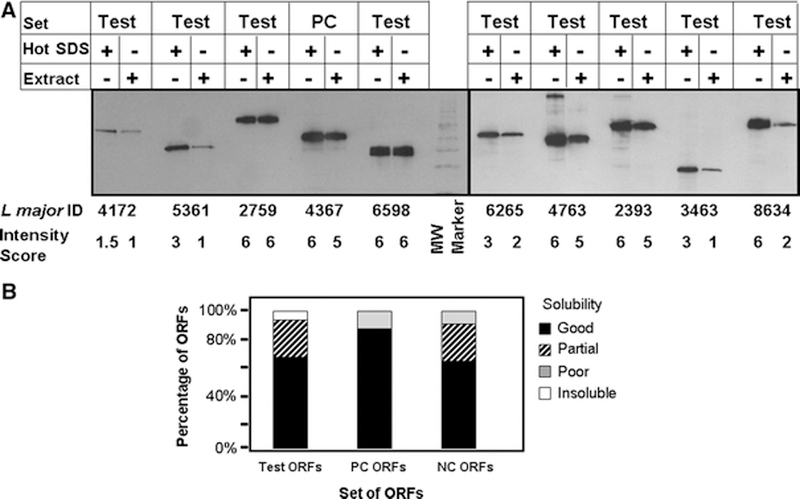 Figure 2: