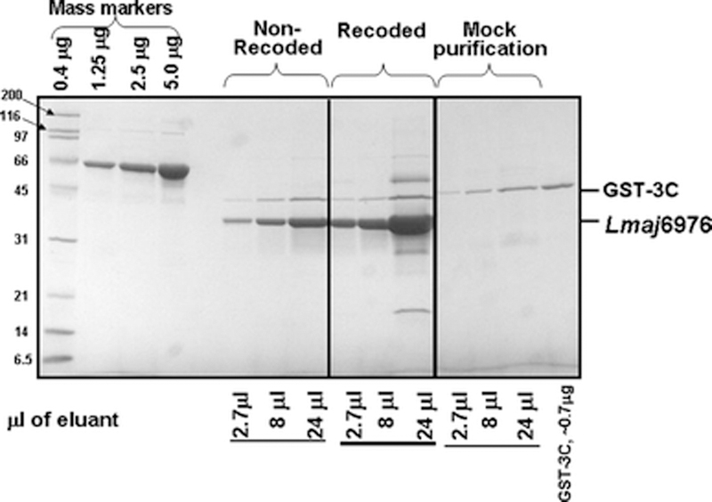 Figure 6: