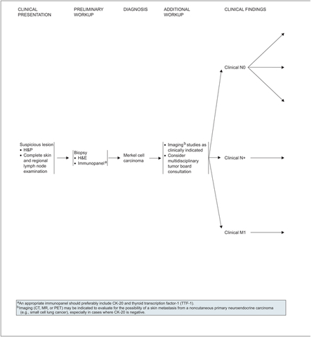 graphic file with name nihms-1832467-f0001.jpg