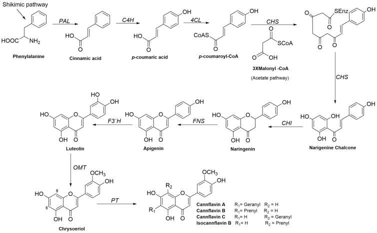 FIG. 2.