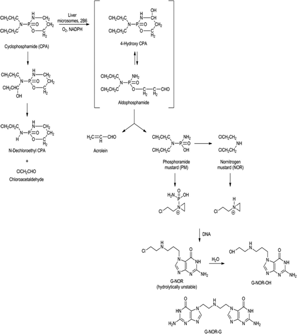 Figure. 1