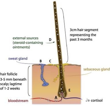 Fig. 3.