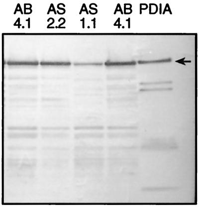 FIG. 6