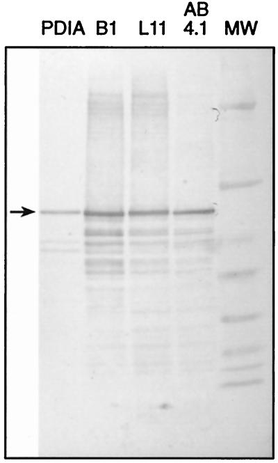 FIG. 5