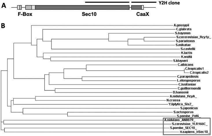 FIG 1