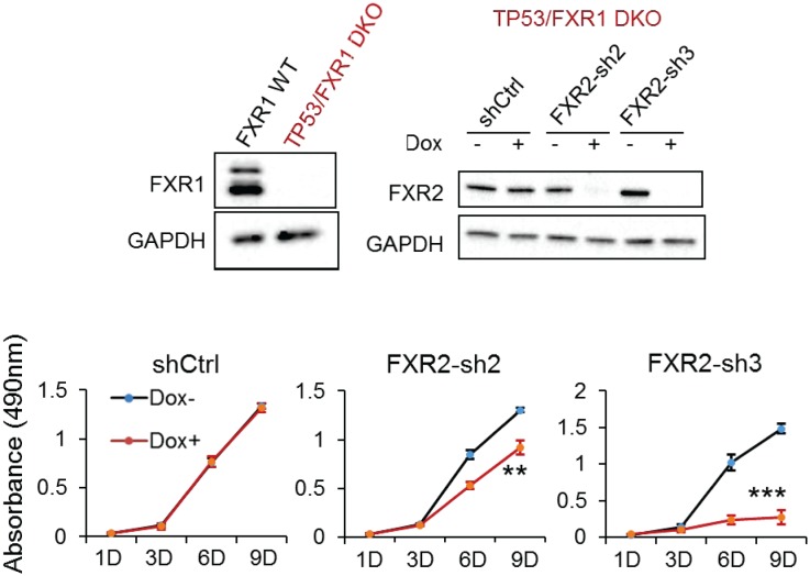 Figure 2—figure Supplement 3.