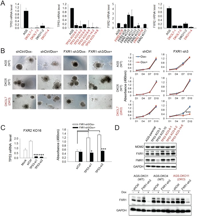 Figure 2—figure supplement 2.