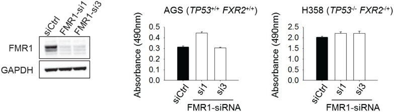 Figure 1—figure supplement 6.