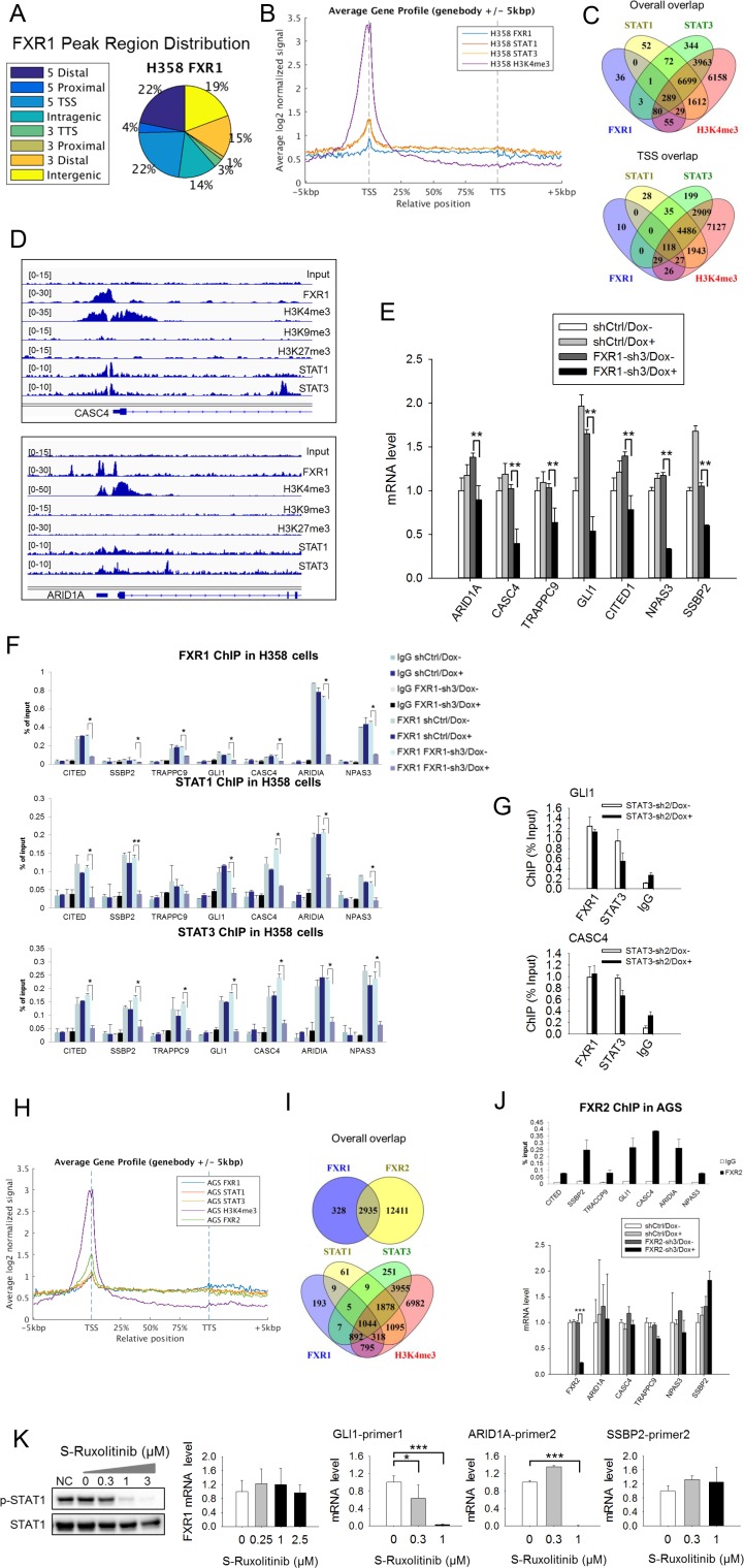 Figure 1—figure supplement 5.