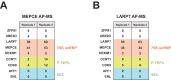 Figure 3—figure supplement 1.