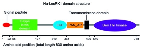 Figure 2.