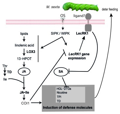 Figure 1.