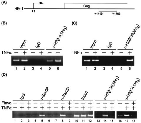 FIG. 8.