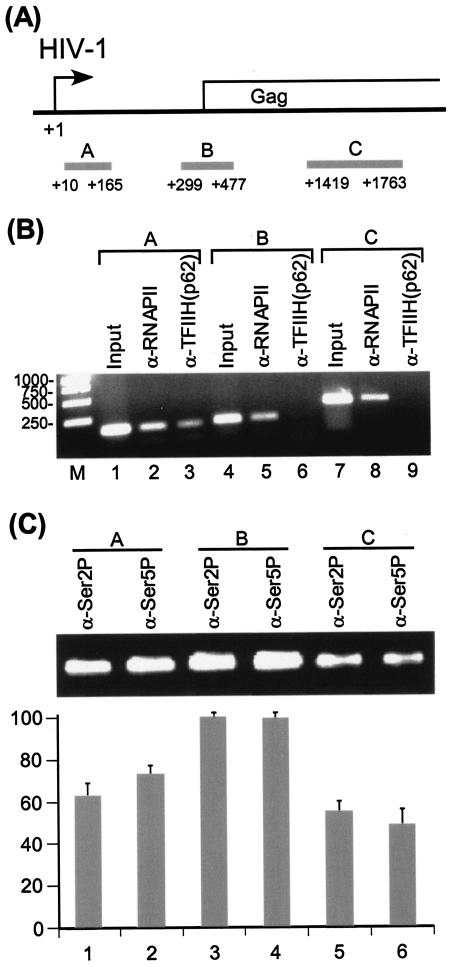 FIG. 5.