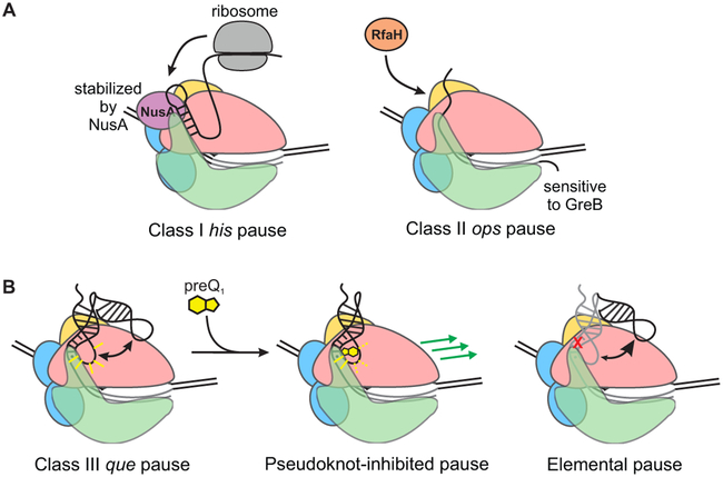 Figure 7.