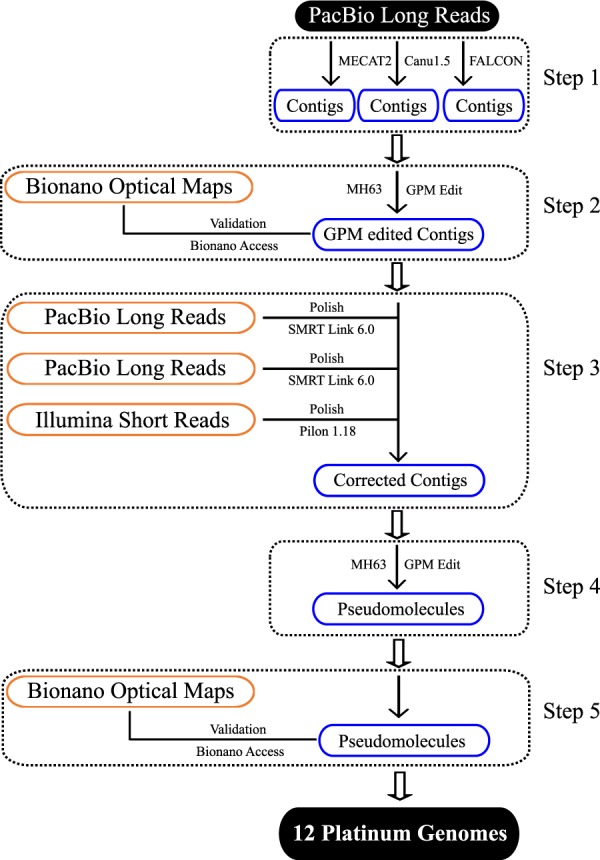 Fig. 2