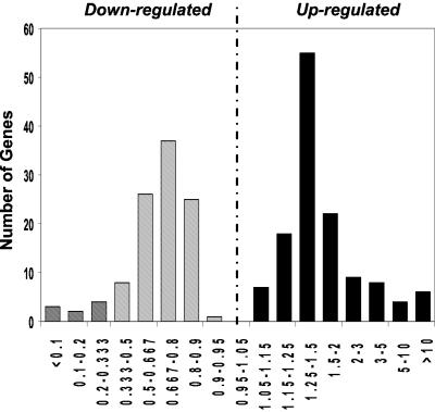 Fig 1.