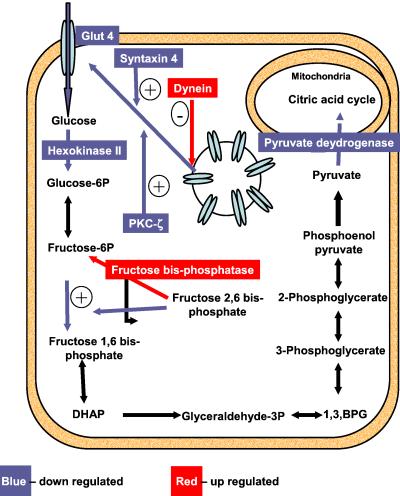 Fig 3.