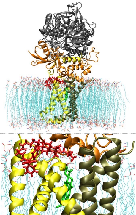 FIGURE 4.