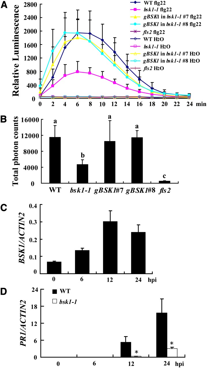 Figure 7.