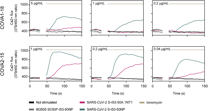 Figure 2