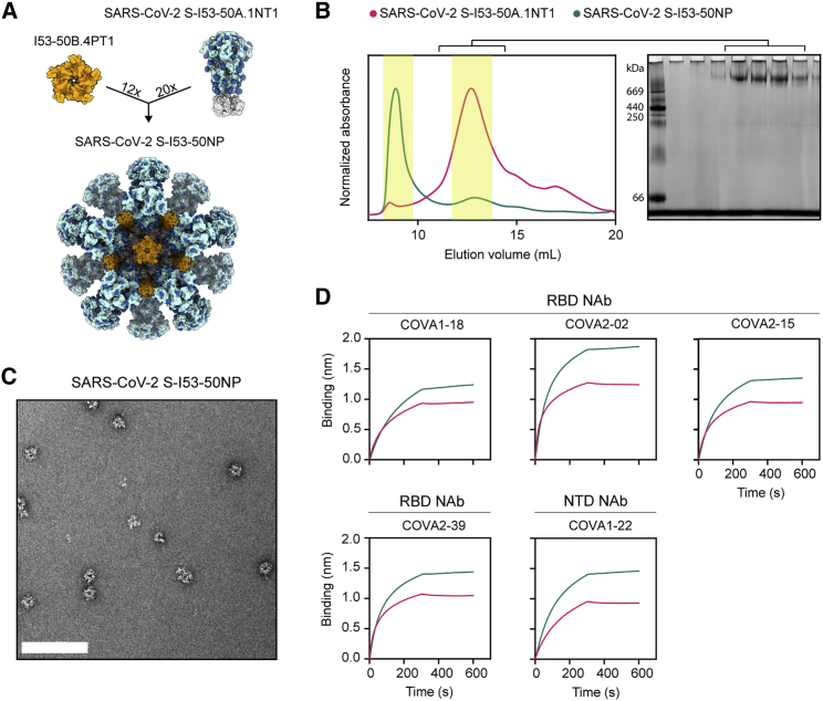 Figure 1