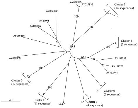 FIG. 2.