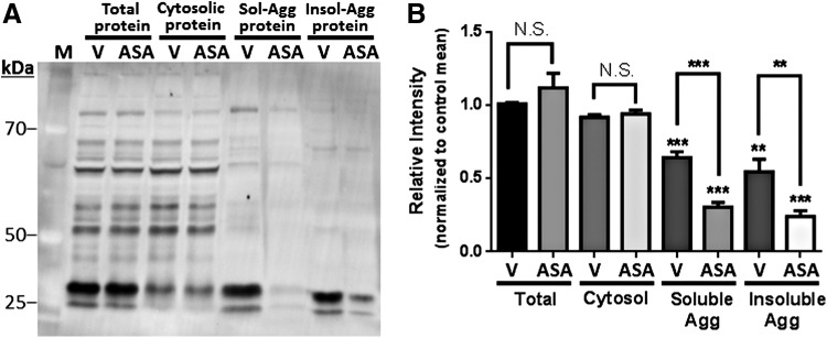 FIG. 10.