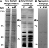 <b>FIG. 8.</b>