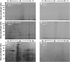 <b>FIG. 3.</b>