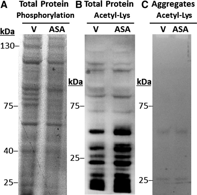 FIG. 8.