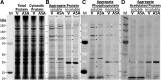 <b>FIG. 9.</b>