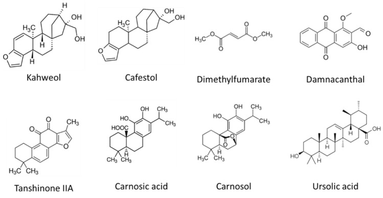 Figure 9