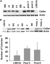 <b>Figure 5.</b>