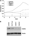 <b>Figure 4.</b>