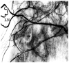 Fig. 21