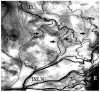 Fig. 22