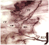 Fig. 16