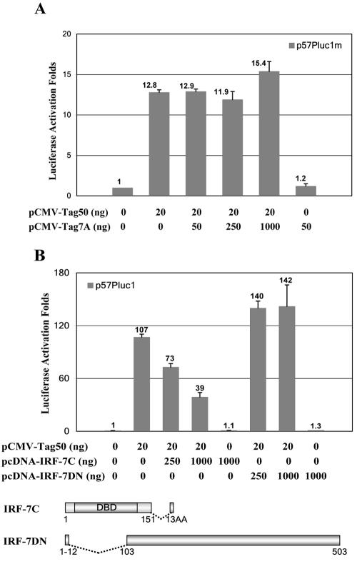 FIG. 4.