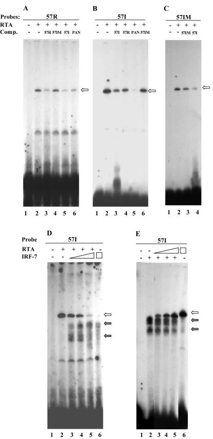 FIG.5.