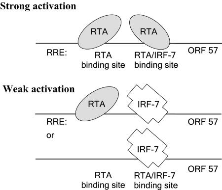 FIG. 7.