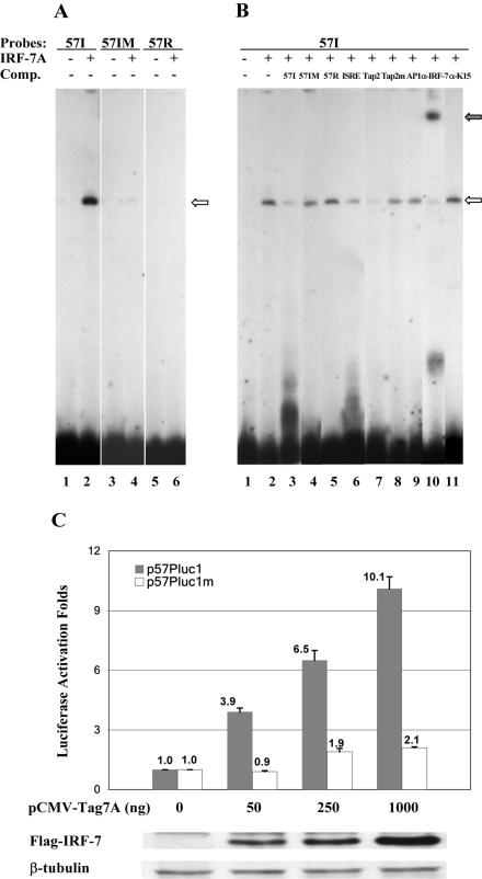 FIG. 2.