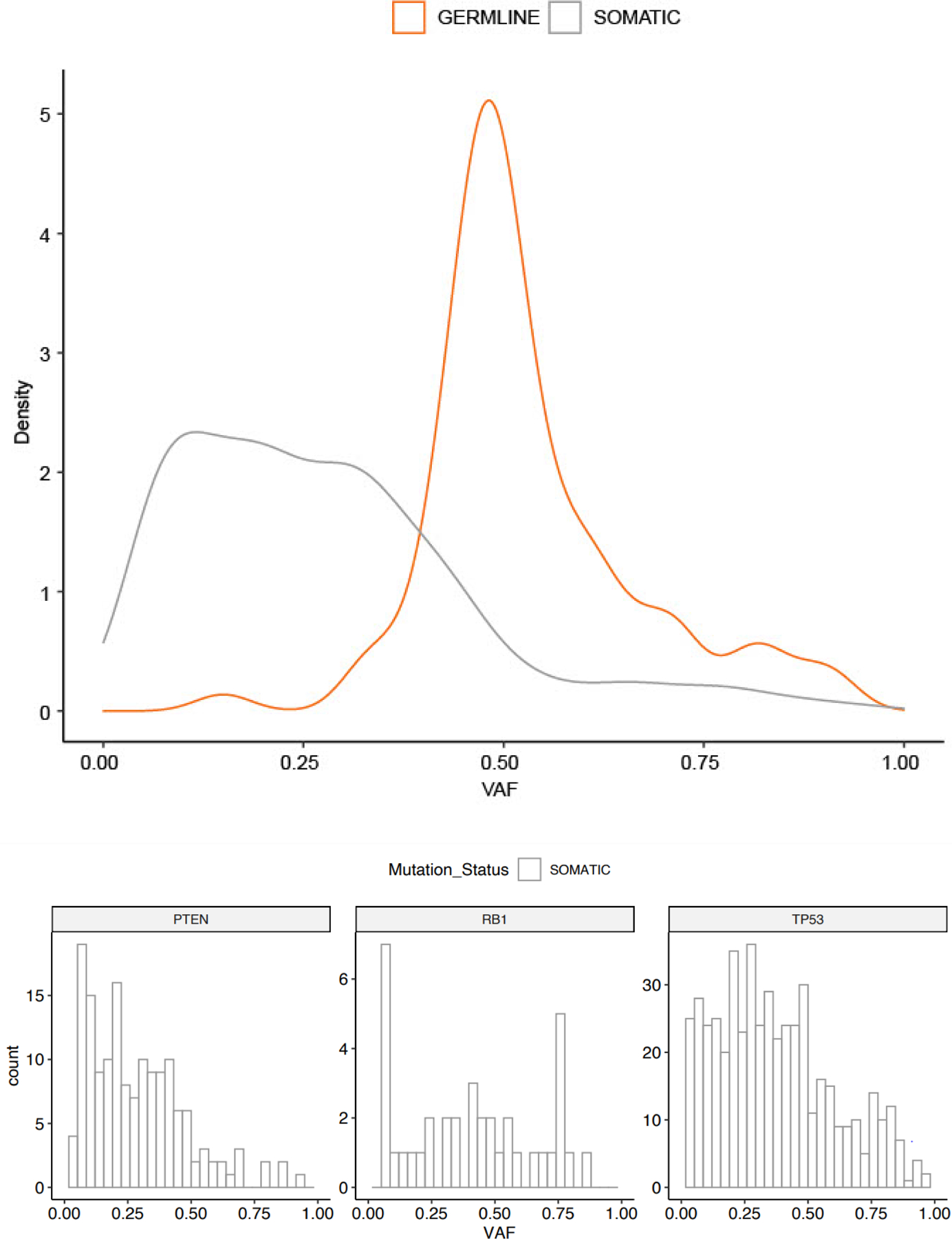 Fig. 4 –