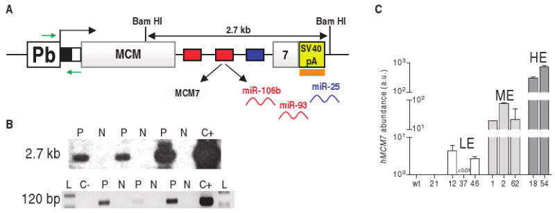 Fig. 9