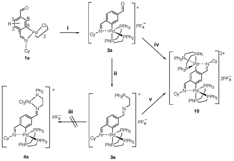 Scheme 2