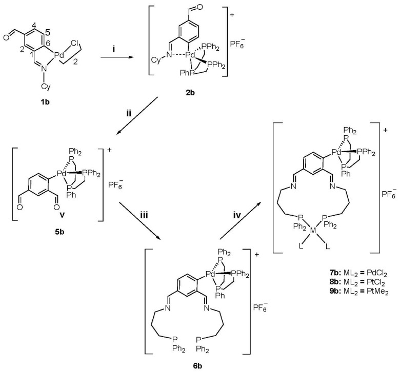 Scheme 3