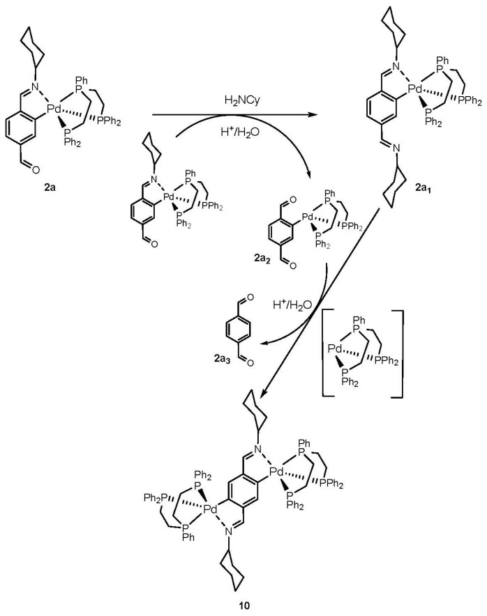 Scheme 4