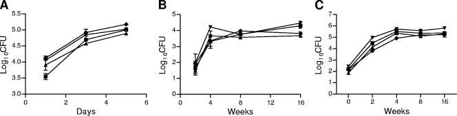 FIG. 3.