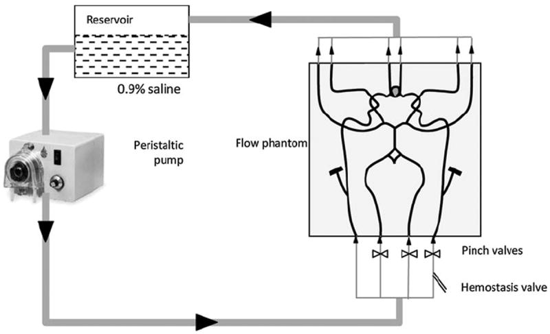 FIGURE 3