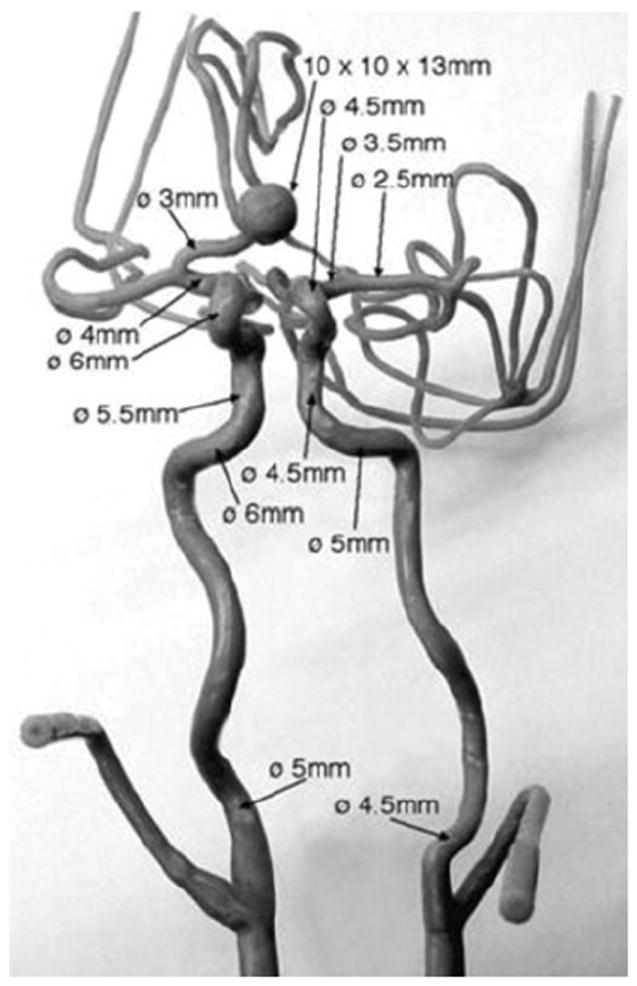 FIGURE 2